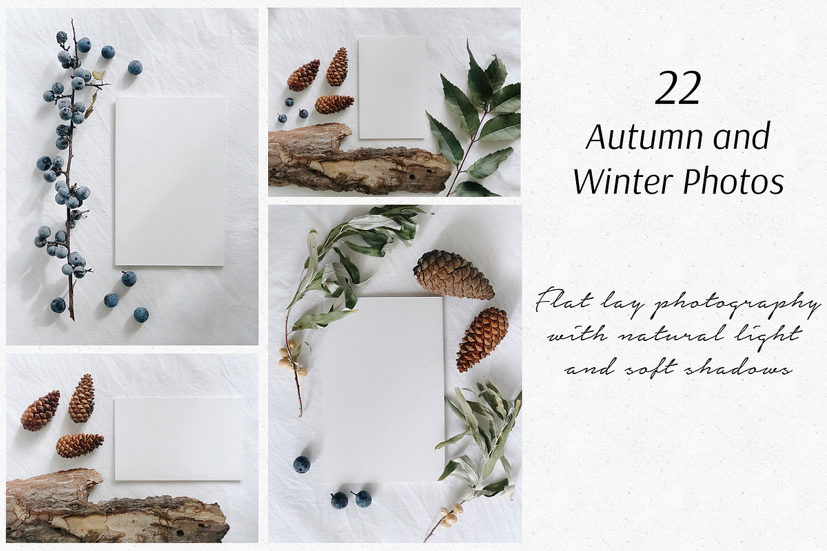 22 Autumn/Winter Flat Lay Photos, a Nature Photo by Helga Wigandt (Photo 1 of 5)