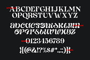 Yorken - Curvy Modern Serif Typeface, a Serif Font by Surplus Type Co (Thumbnail 2 of 6)