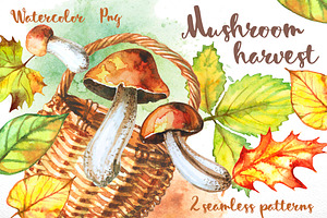 Mushrooms With A Basket Watercolor