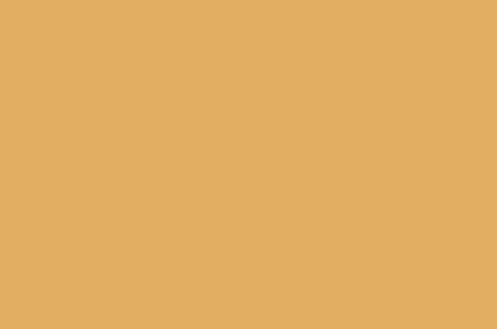 Honey Dijon