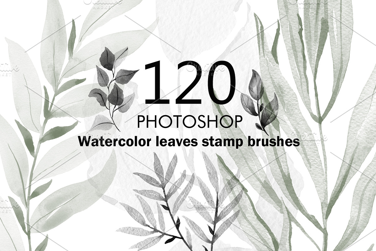 120 Watercolor brushes for photoshop, a Brush Add-On by TaPilipa (Photo 1 of 7)