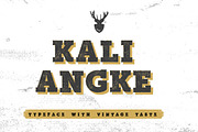 Authentic Vintage Fonts Bundle, a Font by Ryan Prasetya (Thumbnail 4 of 8)