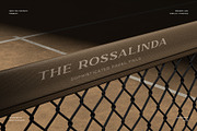 GARLEUX Duo Display Font, a Serif Font by sentype (Thumbnail 7 of 8)