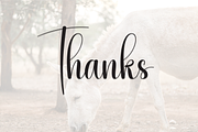Donkeys | Script Font, a Handwritten Font by Scratchones (Thumbnail 9 of 9)