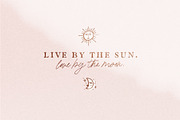 California Palms Fonts & Graphics, a Serif Font by Nicky Laatz (Thumbnail 6 of 48)