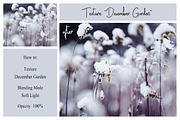 30 Winter Textures, a Texture Graphic by LovePhotoMoment (Thumbnail 7 of 13)