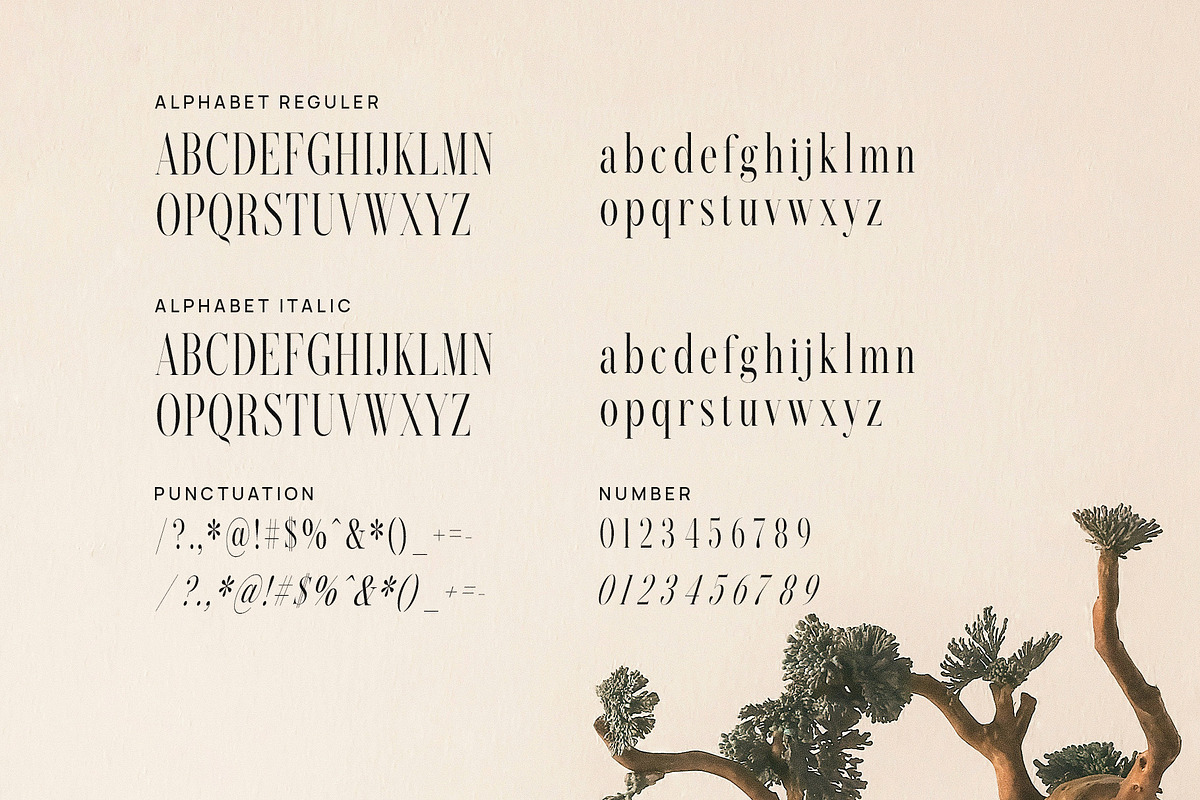 Sebastian Moreta Family Serif Font, a Serif Font by Graphicxell (Photo 8 of 8)