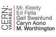 Cern Variable, a Sans Serif Font by Wordshape (Thumbnail 8 of 8)