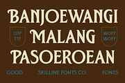 SFC Crest Pier - Duo Font + Extras, a Handwritten Font by Skilline Supply Co. (Thumbnail 3 of 15)