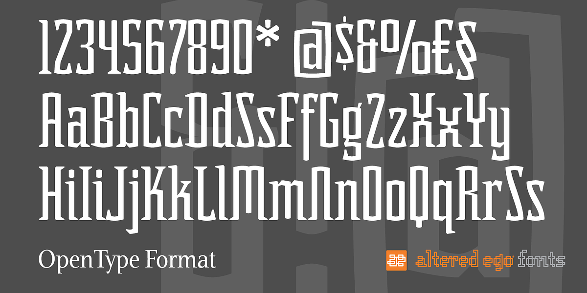 Acolyte AE, a Serif Font by Altered Ego Fonts (Photo 1 of 2)