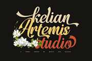 Dafensa Melisa Script Font, a Script Font by Graphicxell (Thumbnail 3 of 8)