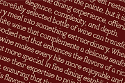 Lumora and Stacey Font Duo, a Font by PeanutButter Type (Thumbnail 4 of 9)