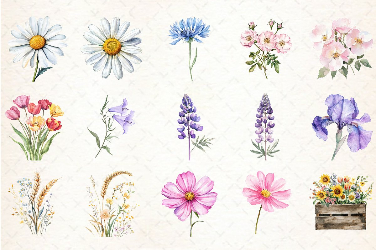 Watercolor Flower Clipart, an Illustration by Libby Wishes (Photo 3 of 5)