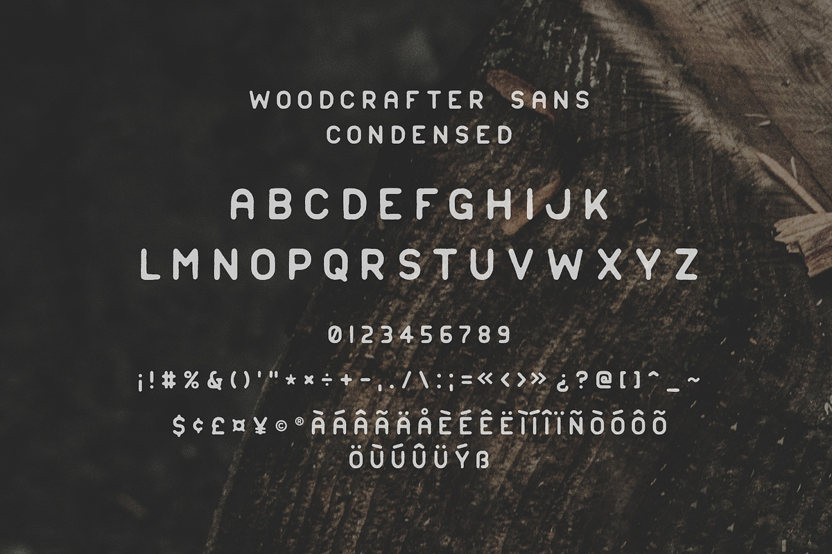 Woodcrafter Sans - 4 Font Family preview 7