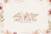 Dried flowers watercolor graphics, an Illustration by Angele Kamp (Thumbnail 8 of 10)
