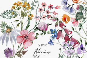 Watercolor Modern Meadow Flowers