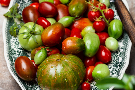 colorful organic tomatoes, a Food & Drink Photo by Marina_Pronina