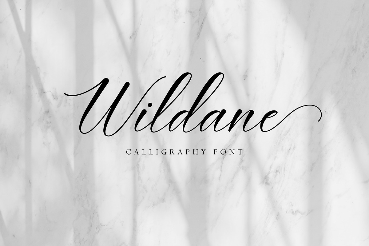 Wildane | Calligraphy Font, a Script Font by FadeLine Studio