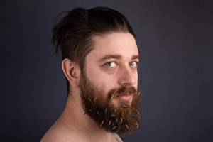 Portrait of a bearded man with dried flowers in his beard agains, a Person Photo by Ales Munt