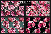 Peony Floral Clip Art, an Object Graphic by Eclectic Anthology (Thumbnail 16 of 17)