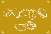 PISTACHIOS LINE ART (12+ ELEMENTS), a Food Illustration by Bonfloret Studio (Thumbnail 4 of 7)