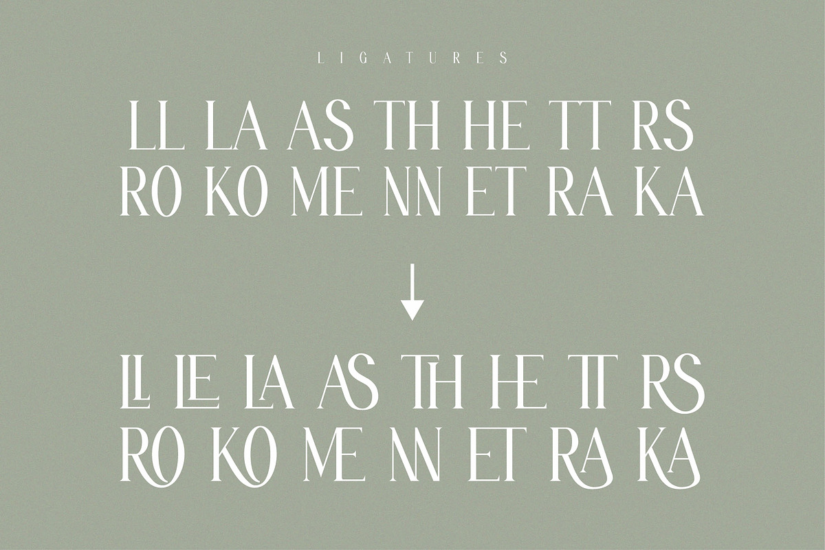 ARSTHEN Ligature Serif Typeface, a Serif Font by Alfinart (Photo 9 of 10)