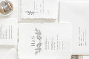 Vintage Herbs & Flowers mega set, an Object Illustration by Garden in frame (Thumbnail 8 of 8)