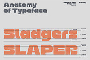 Tralifty, a Sans Serif Font by graphicook (Thumbnail 5 of 10)