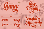 Font Bundle - Complete Collection, a Serif Font by A.Budianto (Thumbnail 6 of 39)
