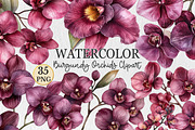 Watercolor Burgundy Orchids Clipart, a Seasonal Illustration by Rose Art (Thumbnail 1 of 6)