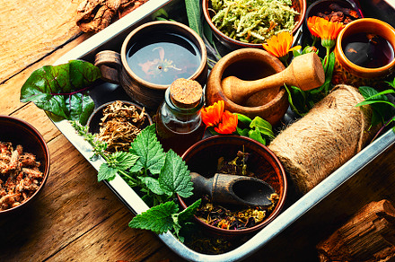 Various kinds of medicinal plants, a Health & Medical Photo by MLunov MLunov