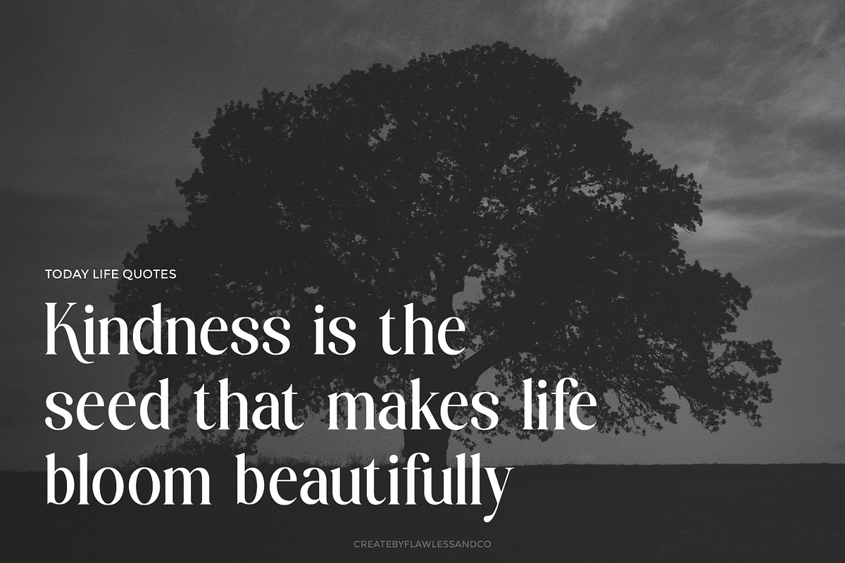 Raslune - Retro Serif Font, a Serif Font by Flawless And Co (Photo 5 of 10)