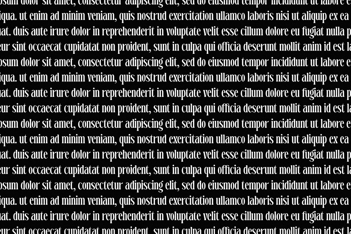 Dreavolt A Serif Display Font, a Serif Font by Storytype Studio (Photo 5 of 15)
