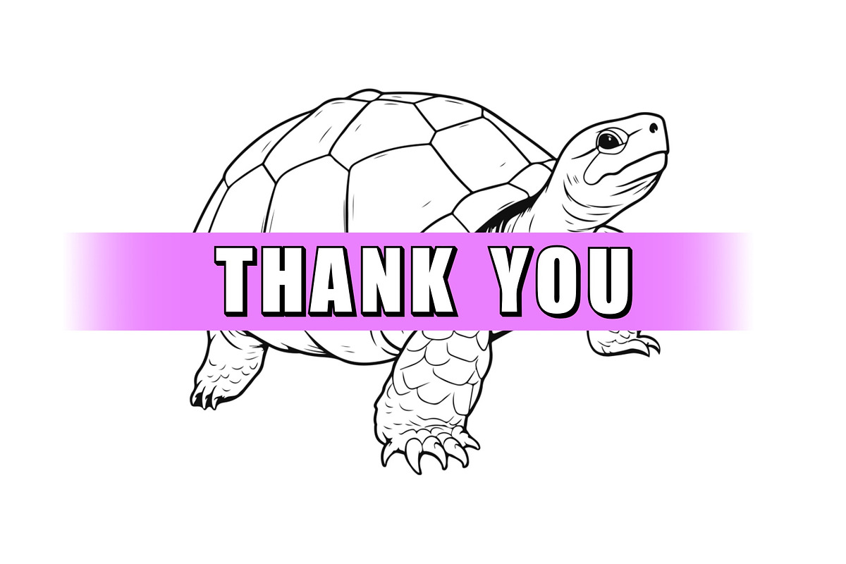 50 Turtles Procreate Stamps Brushes, a Brush Add-On by Procreate Sale (Photo 6 of 6)