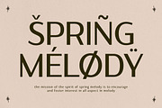 Sqindra - Luxury & Elegant Sans, a Sans Serif Font by Typia Nesia (Thumbnail 4 of 15)