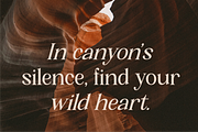 Kirell - Elegant Serif Family, a Serif Font by MaikoHatta (Thumbnail 2 of 9)