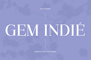 Savinder, a Serif Font by Dora Typefoundry (Thumbnail 11 of 13)