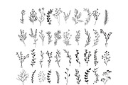 170 Wildflowers Line Art Botanicals, an Illustration by LifestyleCraftCo (Thumbnail 6 of 7)