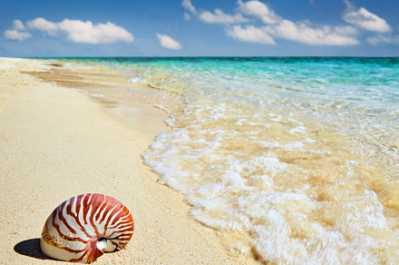 Tropical beach