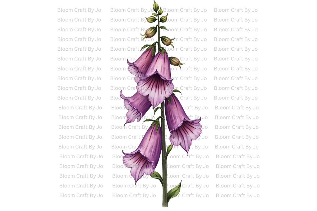Foxgloves Stems and Flowers, a Decorative Illustration by Bloom Craft Creations (Photo 5 of 11)
