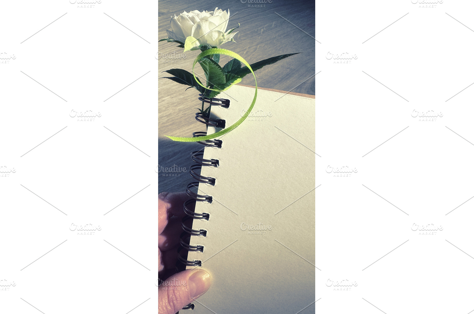 Spiral-bound notebook with blank, a Photo by tilialucida