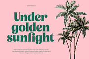 Tropic Fresh Bold Vintage Serif, a Serif Font by timelesstype.co (Thumbnail 10 of 20)