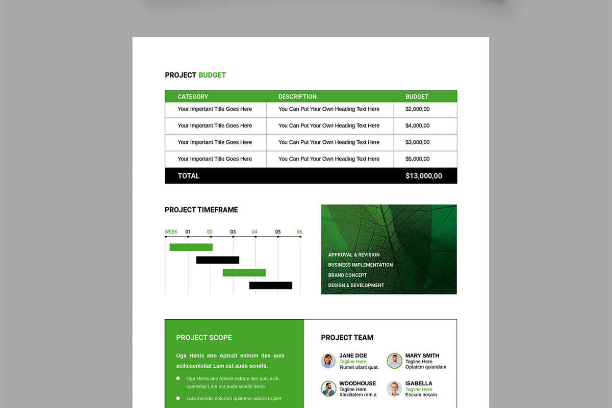 Project Brief Template Layout, a Brochure Template by MightyDesign (Photo 4 of 8)