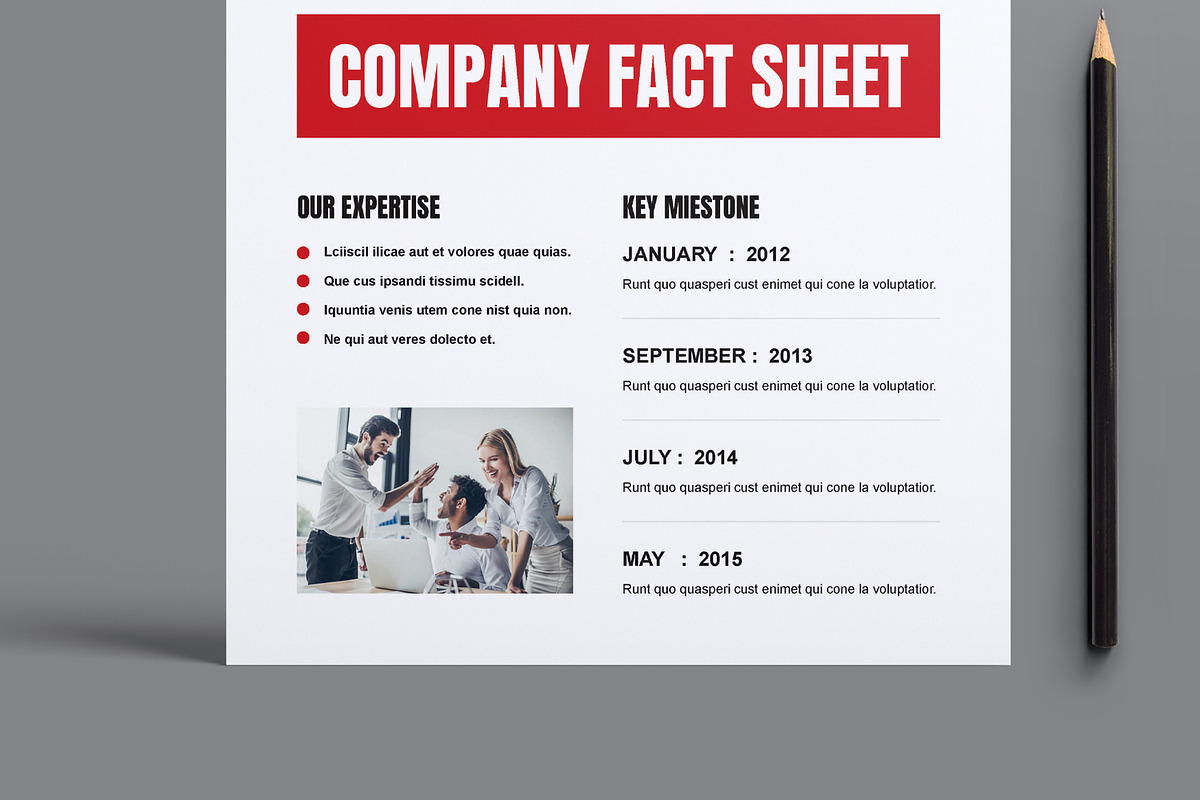 Business Company Fact Sheet Template, a Stationery Template by MightyDesign (Photo 3 of 8)
