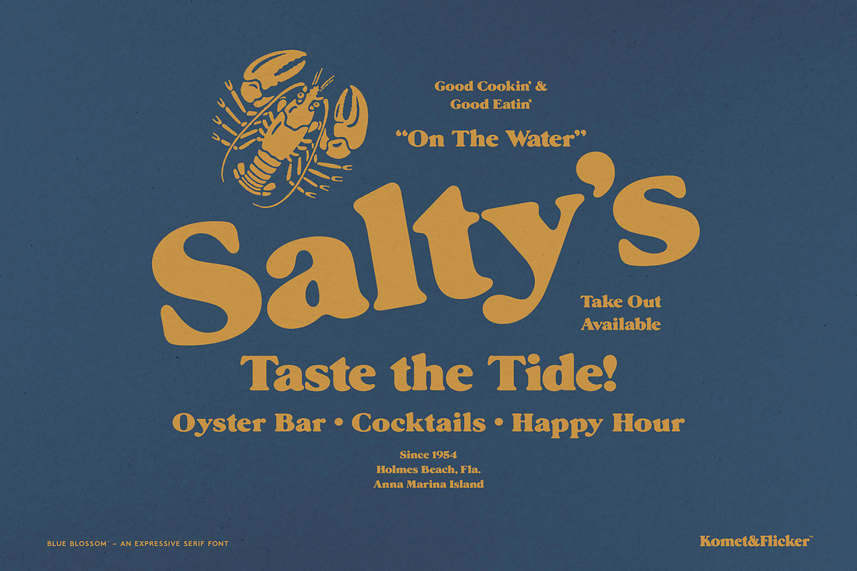 Blue Blossom - An Expressive Font, a Serif Font by Komet & Flicker (Photo 6 of 15)