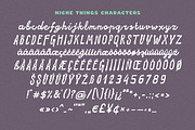 NicheThings Messy Handwritten Script, a Script Font by Struvictory.art (Thumbnail 5 of 9)