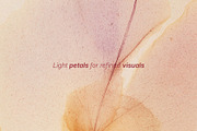 VEIL Flowers Collection, a Background Graphic by nkate (Thumbnail 2 of 13)