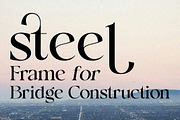 LeoStut, a Serif Font by studiobasic (Thumbnail 8 of 12)