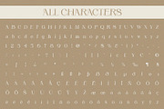 Papike Rough, a Serif Font by Craft Supply Co. (Thumbnail 8 of 8)