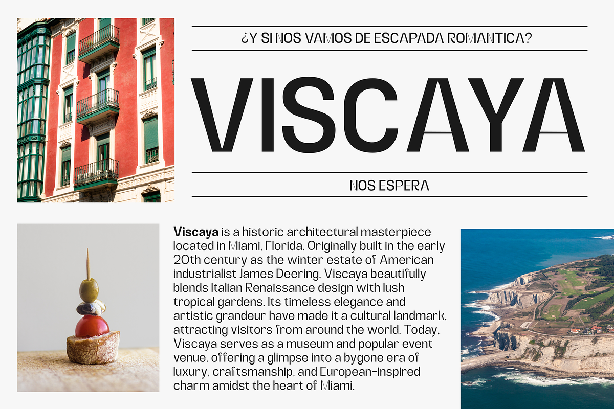 Alerio Sans, a Sans Serif Font by zeenesia (Photo 6 of 17)